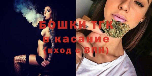 молекула духа Алексин