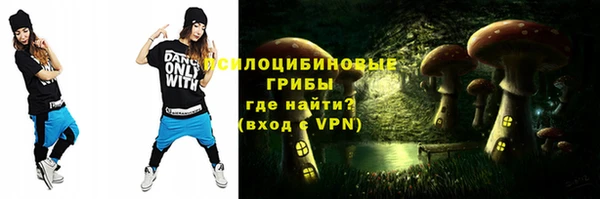 молекула духа Алексин