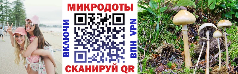 нарко площадка наркотические препараты  Кинель  Галлюциногенные грибы Psilocybe 